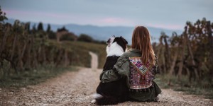 Beitragsbild des Blogbeitrags Mein erster Hund zieht ein – die wichtigsten Vorbereitungen 