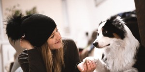 Beitragsbild des Blogbeitrags Leichte Aufmerksamkeitsübungen für den Hund – Indoor Beschäftigung 