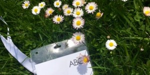 Beitragsbild des Blogbeitrags Wanderungen mit Horst