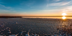 Beitragsbild des Blogbeitrags Italien mit Elena