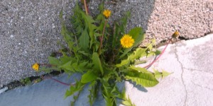 Beitragsbild des Blogbeitrags SWEET SIXTY Blog