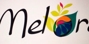 Beitragsbild des Blogbeitrags MELORA
