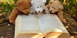 Beitragsbild des Blogbeitrags Imagebooster & Falsche Bewertungen