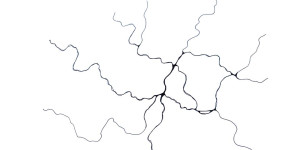 Beitragsbild des Blogbeitrags Die neurographische Linie – Einführung in die Neurographik