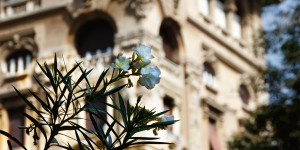Beitragsbild des Blogbeitrags 4 Rom Geheimtipps