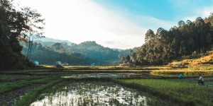Beitragsbild des Blogbeitrags Travel Guide: Rantepao & Tana Toraja 