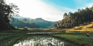 Beitragsbild des Blogbeitrags Travel Guide: Rantepao & Tana Toraja