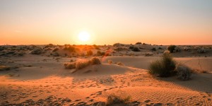 Beitragsbild des Blogbeitrags Reisebericht: Kamelreiten in Jaisalmer
