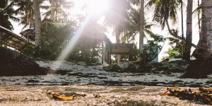 Beitragsbild des Blogbeitrags Survival Guide: Meine Dengue Fieber Erfahrung & Leitfaden im Notfall