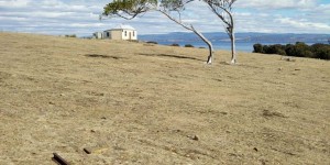 Beitragsbild des Blogbeitrags Tasmanien: Natur pur und Geschichte zum Anfassen 