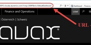 Beitragsbild des Blogbeitrags Dynamics 365 for Finance and Operations – Geheimnisse der URL-Parameter