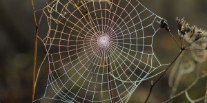Beitragsbild des Blogbeitrags Teil 2: Neue Funktionen in Business Central: Come on, come on – Common Data Service!