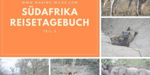 Beitragsbild des Blogbeitrags Reisetagebuch: 20 faszinierende Tage in Südafrika Teil 2 