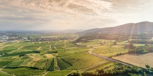 Beitragsbild des Blogbeitrags Gumpoldskirchen – Der Weinort nahe Wien 