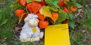 Beitragsbild des Blogbeitrags Fettklößchen – Guy de Maupassant