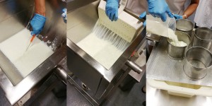 Beitragsbild des Blogbeitrags Käsemacher Erlebnis in Heidenreichstein