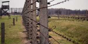 Beitragsbild des Blogbeitrags Auschwitz-Birkenau Gedenkstätte 