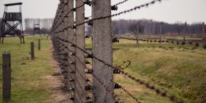 Beitragsbild des Blogbeitrags Auschwitz-Birkenau Gedenkstätte