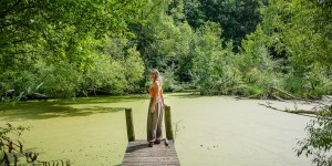 Beitragsbild des Blogbeitrags Zwischen Natur & Verwahrlosung – Steinschaler Naturgärten 