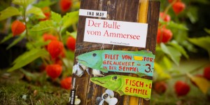 Beitragsbild des Blogbeitrags Der Bulle vom Ammersee – Ina May