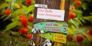 Beitragsbild des Blogbeitrags Der Bulle vom Ammersee – Ina May 