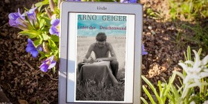 Beitragsbild des Blogbeitrags Unter der Drachenwand – Arno Geiger