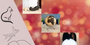 Beitragsbild des Blogbeitrags Weihnachtsgeschenke für Booknerds, Travellerhearts & Catlovers