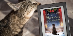 Beitragsbild des Blogbeitrags Weihnachten auf Samtpfoten – Lili Hayward 