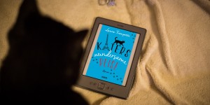Beitragsbild des Blogbeitrags Katers wundersame Reise – Laura Trompette