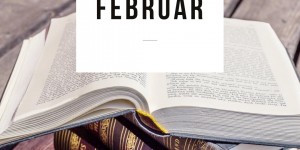 Beitragsbild des Blogbeitrags Lesemonat Februar in Zahlen 
