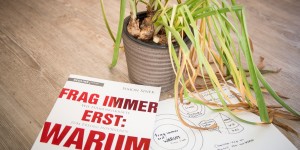 Beitragsbild des Blogbeitrags Frag immer erst: Warum – Simon Sinek 