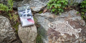 Beitragsbild des Blogbeitrags Killerkarpfen – Maria Publig