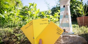 Beitragsbild des Blogbeitrags Thebanische Trilogie von Sophokles