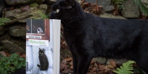 Beitragsbild des Blogbeitrags Hüttenkatz – Kaspar Panizza