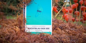 Beitragsbild des Blogbeitrags Nachtblau der See – Gabriela Kasperski