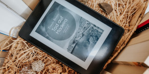Beitragsbild des Blogbeitrags Tod auf Madeira – Tomás Bento