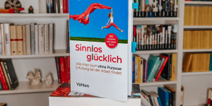 Beitragsbild des Blogbeitrags Sinnlos glücklich – Ingo Hamm