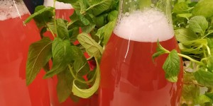 Beitragsbild des Blogbeitrags Rhabarbersaft