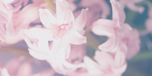 Beitragsbild des Blogbeitrags About True Heroes and Saying Goodbye 