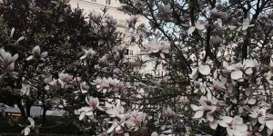 Beitragsbild des Blogbeitrags Jobverlust in der Karenz – Ja, mir ist das passiert!