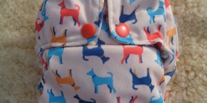 Beitragsbild des Blogbeitrags Die kluge Amerikanerin – Smart Bottoms 3.1