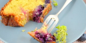 Beitragsbild des Blogbeitrags Buttermilchkuchen mit Blaubeeren und Zitronenthymian