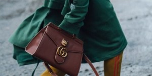 Beitragsbild des Blogbeitrags TREND ALERT: Steg – REIF! 