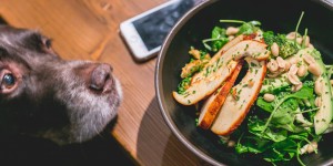 Beitragsbild des Blogbeitrags Health Kitchen – Gesund Essen in Wien
