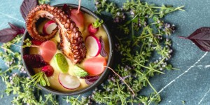 Beitragsbild des Blogbeitrags Knuspriger Oktopus mit Martin Zeißl