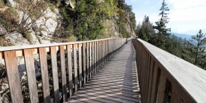 Beitragsbild des Blogbeitrags Gaisberg Rundwanderweg