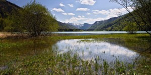 Beitragsbild des Blogbeitrags Naturbadesee Hintersee im Salzkammergut 