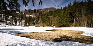 Beitragsbild des Blogbeitrags Der Filblingsee im Salzkammergut