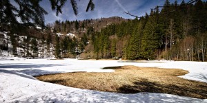 Beitragsbild des Blogbeitrags Der Filblingsee im Salzkammergut 