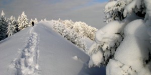 Beitragsbild des Blogbeitrags 5 Tipps zum Fotografieren im Winter